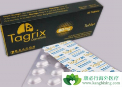 ��ϣ����(TAGRIX)�뻯��ҩ��������ܷ������ҩ�ԣ�