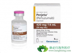 �����鵥������Ϊ����HER2�������ٰ������ṩ���µ�ѡ��