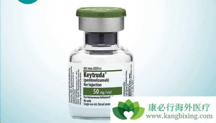 ��ɫ����