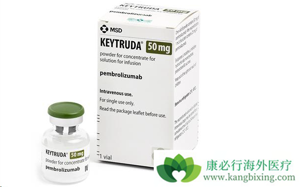 ���ں�ɫ��������