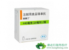 ٰҩ˺͡(Herceptin)Щ