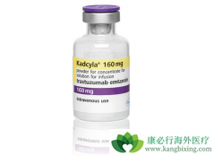 ����ż��ҩ��T-DM1������θ����