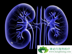 ����ת�Ƶ�;������Щ����������ת�Ƶ��������Щ��λ��