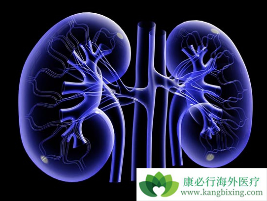 肾癌转移 肾癌转移