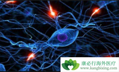 ��������Ӧ�����й���������֯������Ⱥ�а�ȫ��Ч