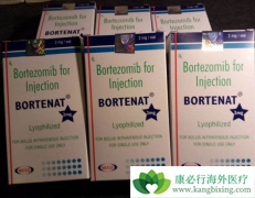 (Bortezomib)ټMMҸβĻ