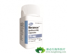 ת�������ٰ�����ʹ�������������Ƶ�Ч������