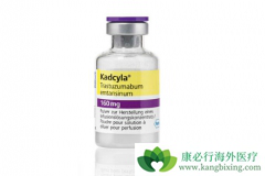 T-DM1�������ٰ��ĸ����ñ������鵥��С��