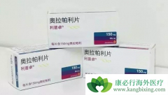 PARP���Ƽ����������ٴ��������ٰ�����Ч��ô����