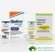 ��������ҩ���ܹ����ڸΰ�������