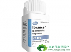 CDK4/6���Ƽ��߰��������й������������ٰ�������