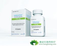 ��������/��³�������ϰ����鵥����Ϊ��Ѫ���׸��޻����Ʒ�