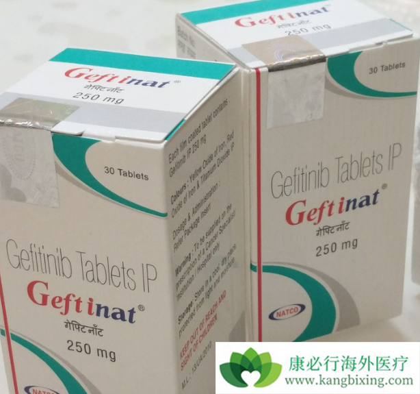 易瑞沙说明书 易瑞沙说明书