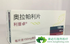 ���������ٰ��������ƿ�����PARP���Ƽ�����������