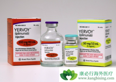 CTLA-4���Ƽ���������Сϸ���ΰ�������