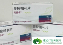 �ѳ�������ʹ��PARP���Ƽ����Ƶ�Ч������