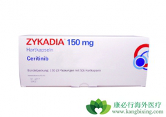 ALK���Եķ�Сϸ���ΰ�ʹ����������������ô����