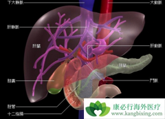 ��ϸ���������ж���ͬ��Ҳ�������Ҹλ��ߣ�