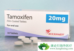 �������ٰ��ڷ������ƿ�������ʹ����Ī����