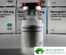 �����鵥����Ŀǰ���ٰ���HER2���Ƶ��ذ�ҩ��֮һ