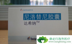 ��������ҩ�����Bcr-Abl�ںϻ�����ʹ����������������