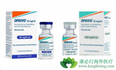 PD-1���Ƽ�Oҩ��Kҩ�ĸ��ȽϺã�