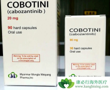 ����������������ڸΰ����߶������Ƶ���������