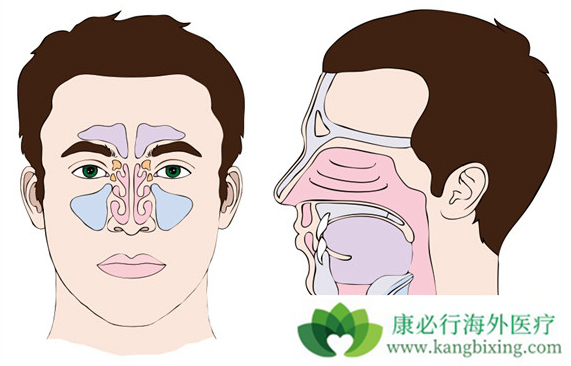 鼻咽癌存活率 鼻咽癌存活率