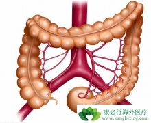 Ϊ����ЧԤ���󳦰��ķ���������Ҫ����Щ��飿