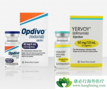 ����ЩPD-1ҩ��������ƻ�����ܰ�����