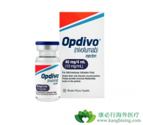 PD-1����Oҩ��Kҩ�ڹ��ڿ���������Щ��֢��