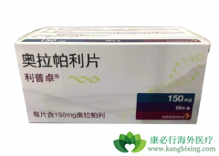 ����ҩ��PARP���Ƽ��������ٰ���Ч������