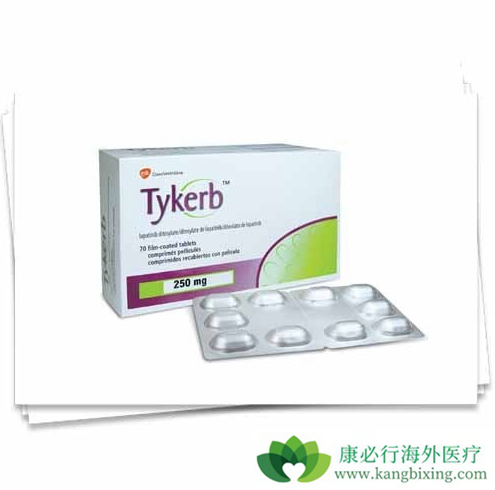LAPATINIB