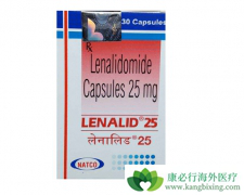 ӡ�����ǶȰ���ҩ�����µ����Ʒ�������ѡ����