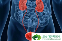 ��Ī¬��������߶�����������·��Ƥ������Ч��