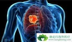 �����߷ΰ���ת�ƻ����������Ƶ���Ч��