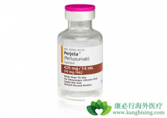 �����鵥�����������鵥������HER2������ת���Խ�ֱ������ô����