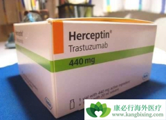 ���ٰ����滯���м������͡�ܻ����ô���������棿