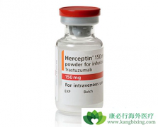 HER2�������ٰ����˺���͡������Щҩ�