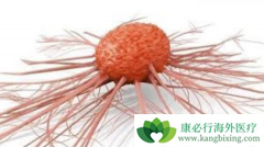 �����������������������֯�������зǳ��õ���Ч