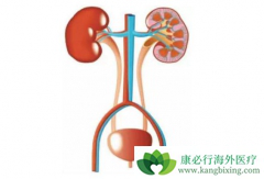 ���°��װ��ĸ����ʾӸ߲��µ�ԭ����ʲô��