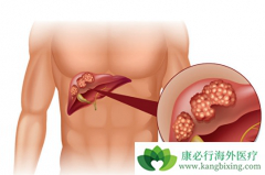 �ð�������ҩ���ַ�����ΰ����κ���