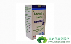 ��������(Bortezomib)Ƥ�¸�ҩ�ķ�����ע������