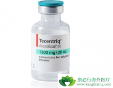 ���������ٰ�ӭ���׸������Ʒ������鵥��