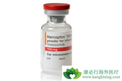 HER2�����׿�������͡�ڹ����з���ҩ��