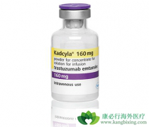 T-DM1�������鵥�������鵥����������ĸ�Ч���ã�