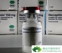 HER2�������ٰ�������ѡ����͡��