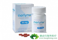 ������������HER2�������ٰ�����Ч����