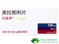 PARP���Ƽ����������������ǰ���ٰ�������