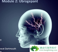 Ubrogepant����Ϊȫ���׿�CGRPС����ƫͷʹҩ��